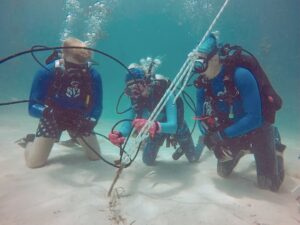 Three scuba divers underwater working together to secure a coral nursery structure into the sandy seafloor, demonstrating teamwork during coral restoration installation.