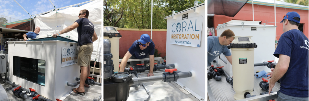 Left panel:
Two men install a top panel onto a large white coral transport tank mounted on a trailer. The tank has a viewing window and a Coral Restoration Foundation logo.

Center panel:
A man wearing a navy shirt and cap adjusts plumbing valves on the side of the mobile coral transport system, which features pipes and a large filtration unit.

Right panel:
Two men work together on the trailer-mounted tank system, inspecting pipes and fittings connected to the coral transport equipment.