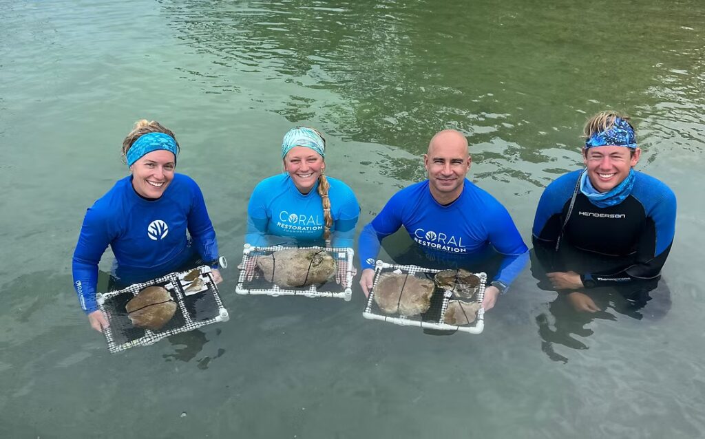 Four CRF team members stand waist-deep in calm water, smiling and holding PVC trays containing rescued coral colonies for transport and care.