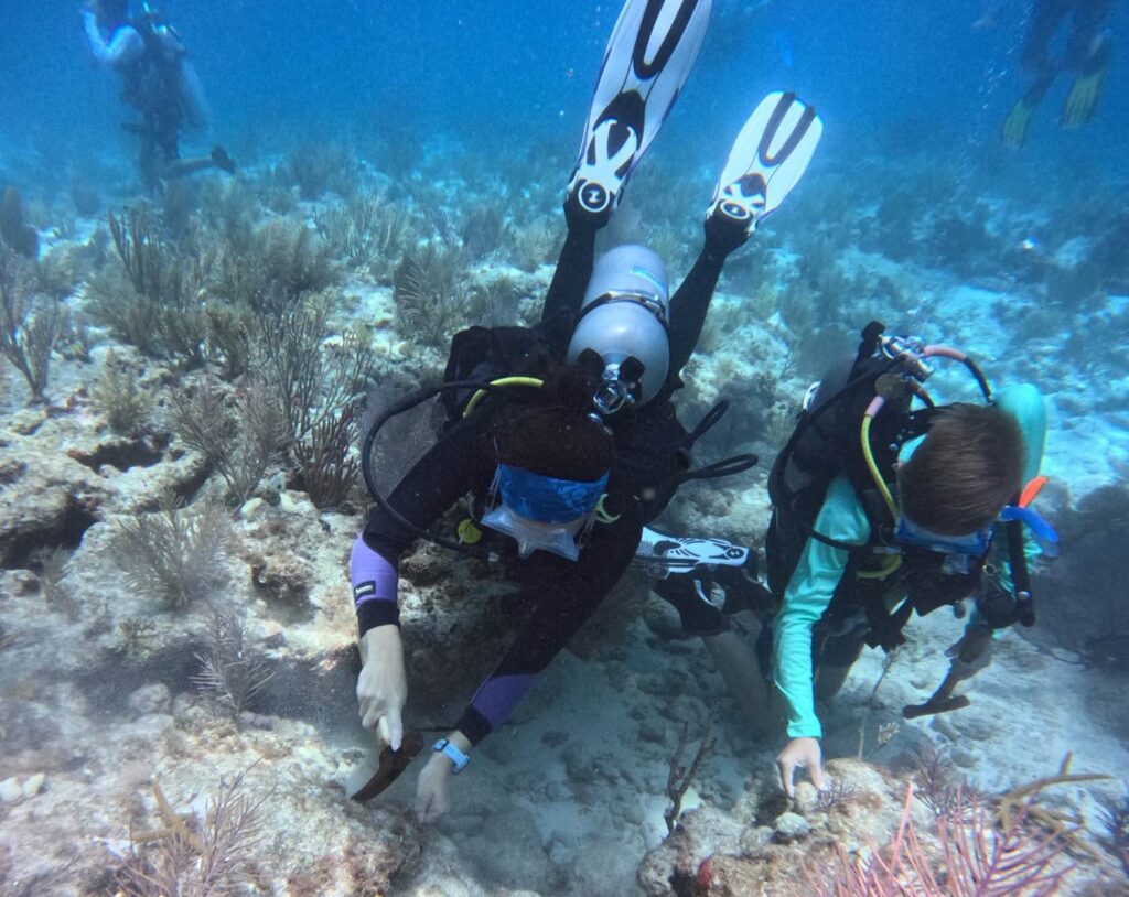 scuba divers underwater