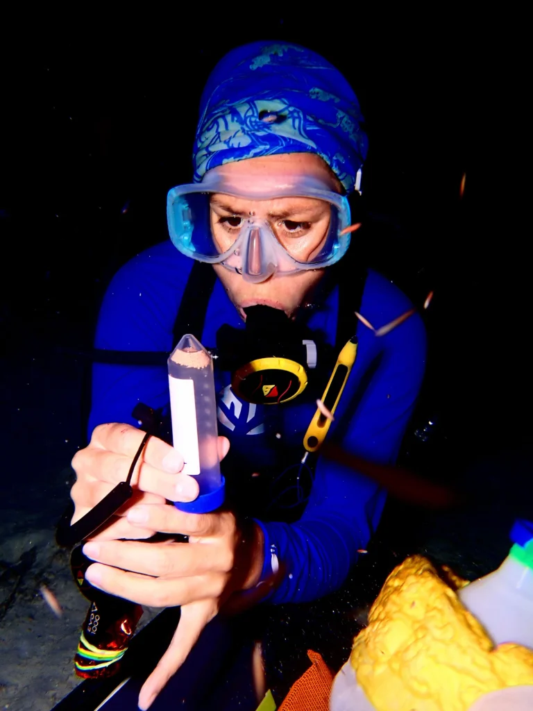 Scuba diver observing collected coral gametes