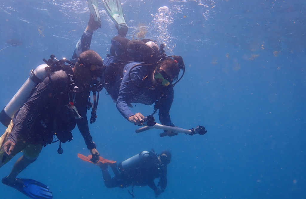 Divers with coral monitoring equipment