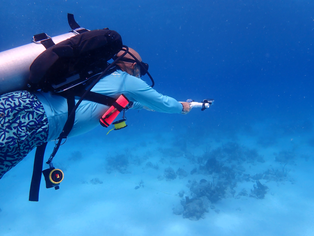 Diver with monitoring device underwater