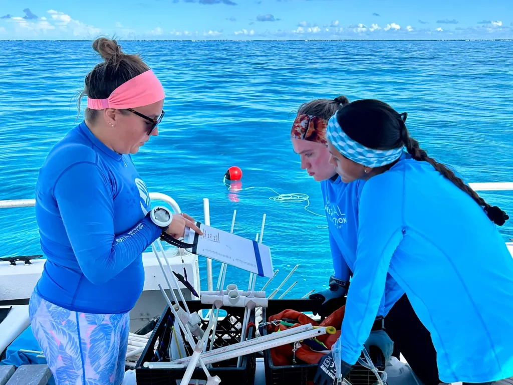 Divers reviewing plans before diving to deploy shades