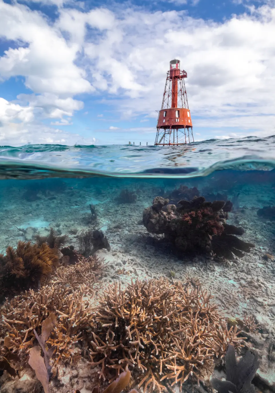 Coral Restoration Florida: The heart of our operations