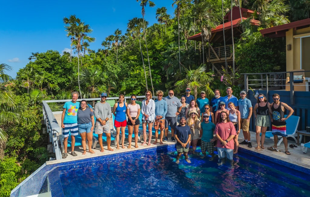 Participants at the pillar coral learning exchange workshop, standing within a pool in the middle of foliage and a lush landscape