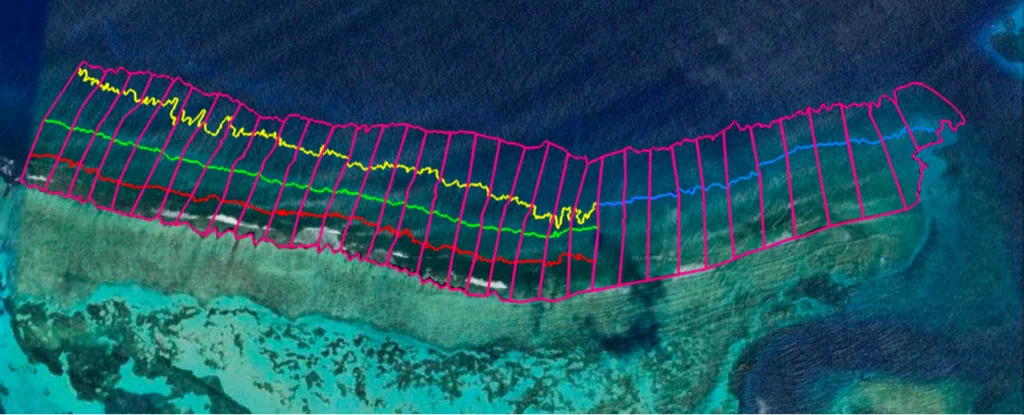 Long Reef, delineated by habitat type (yellow, green, red, blue) and sectioned into segments (pink). This delineation helps restoration practitioners plan restoration operations. 