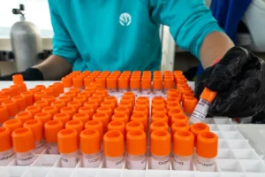 Close up of scientist placing a tube containing coral genotypes into tray