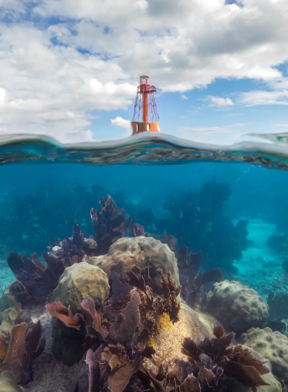 Photo is half underwater revealing corals on the ocean floor with a pillar buoy above water.