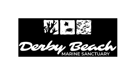 Derby Beach Sanctuary