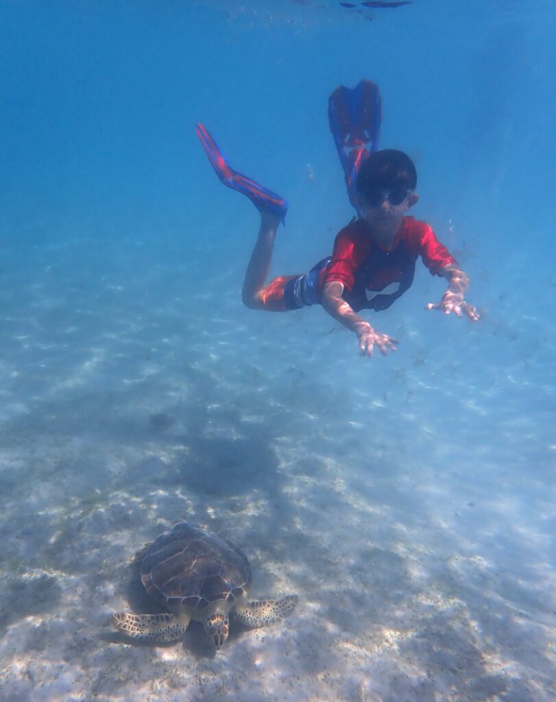 Young boy swimming underwater with a sea turtle sitting on the sandy bottom.