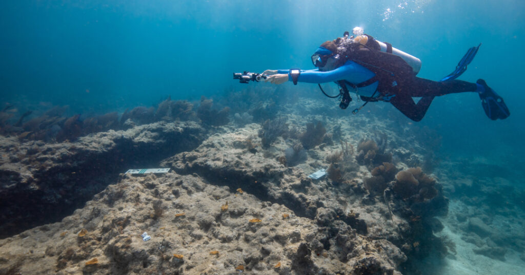 Scuba diver in blue gear captures imagery of a coral reef site using an underwater camera for coral monitoring, with measurement markers visible on the seafloor amid rocky substrate and scattered coral growth.