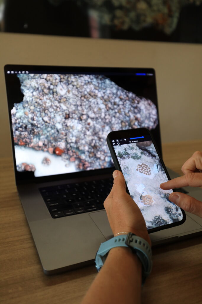 Close-up of a laptop and smartphone displaying coral photomosaic imagery, with a user using both screens to inspect and zoom into coral structures.