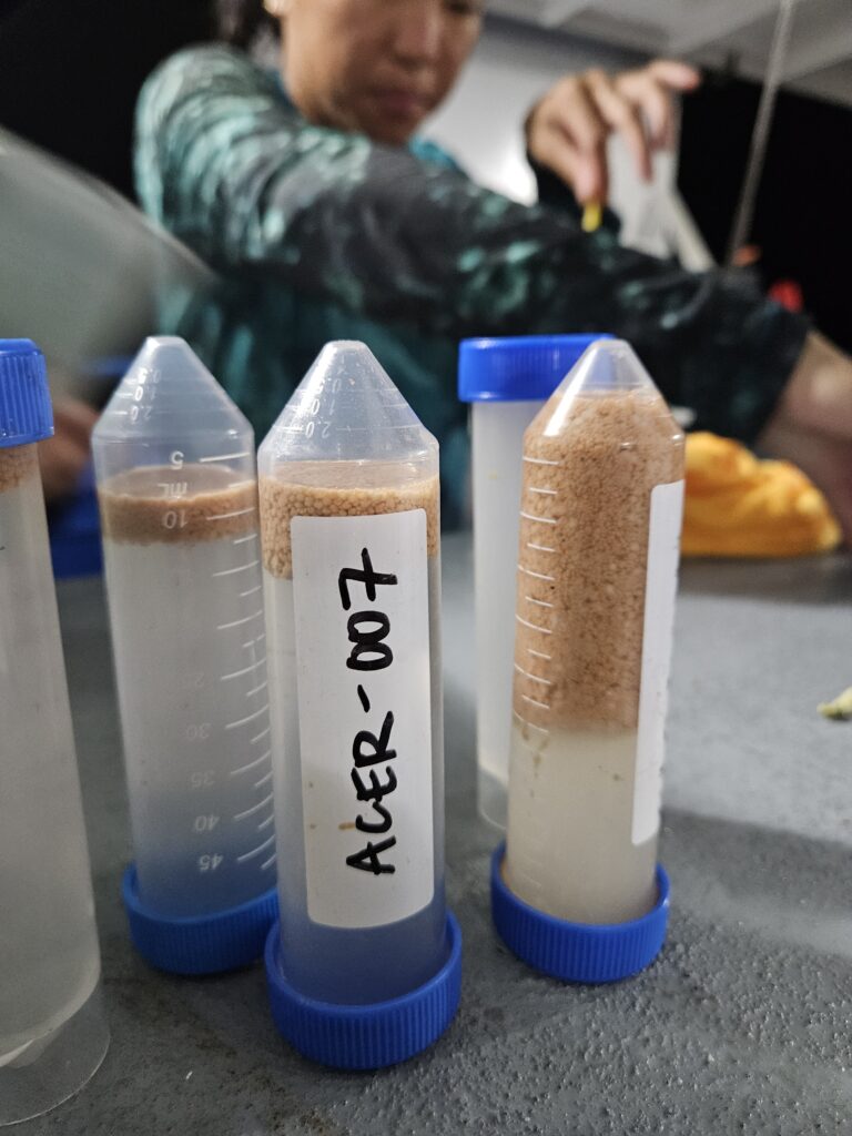 Gametes in vials aboard the Shedd Coral Reef II