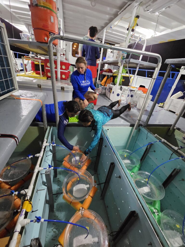 Scientists from multiple organizations collaborate aboard the Shedd Coral Reef II