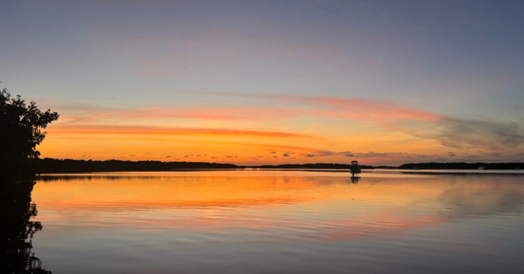 A calm bay at sunset with orange and pink hues reflecting off the water, a lone boat in the distance, and silhouetted mangroves on the left.