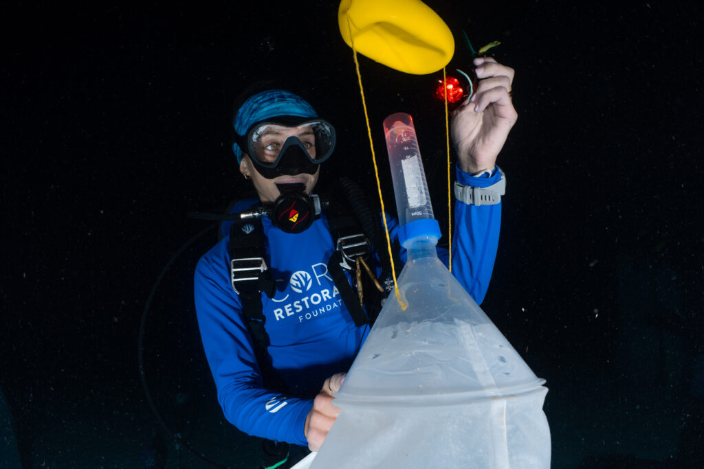 Scuba diver in CRF™ gear holds a flashlight while looking at a vial filled with coral gametes collected during a night spawning event.