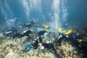 A group of scuba divers restoring a reef, symbolizing the dual ecological and economic benefits of coral restoration activities.