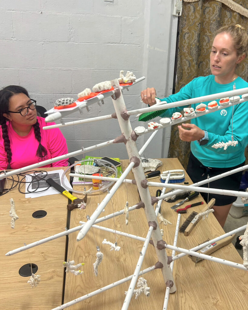 A CRF staff members shows how to attach corals to a Coral Tree™ frame during a classroom session in American Samoa.