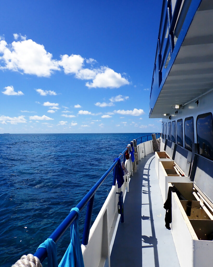 The view from the deck of the research vessel looking over calm blue ocean waters under a bright sky.