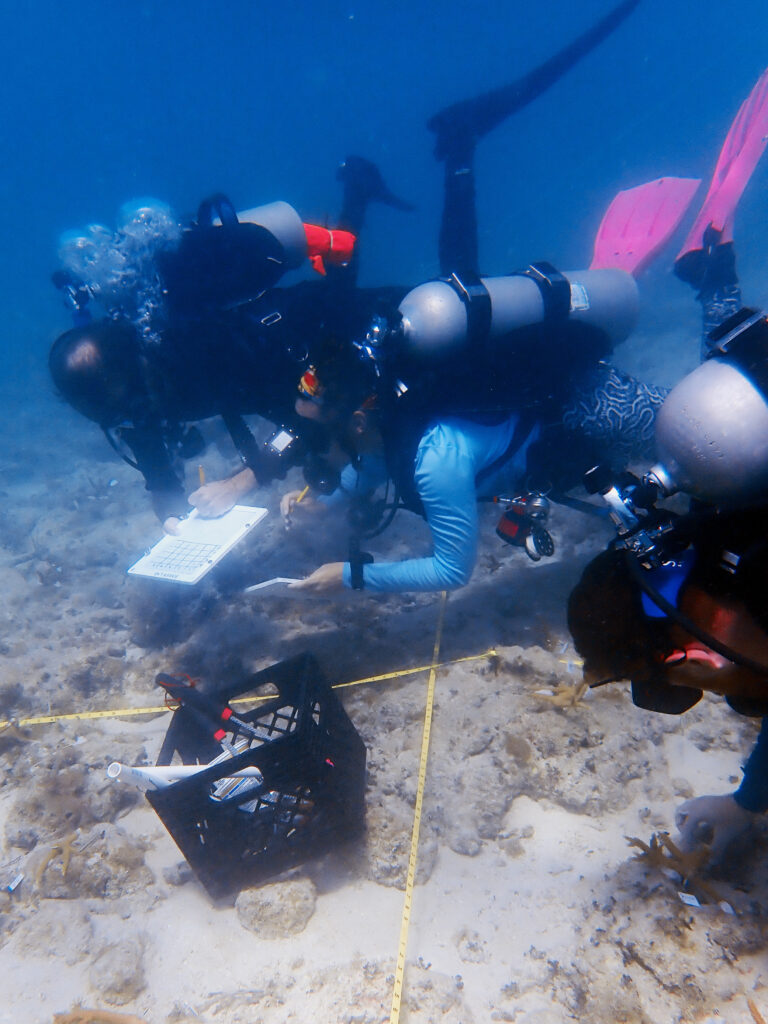 Divers record coral health data underwater using waterproof slates at a reef monitoring site.
