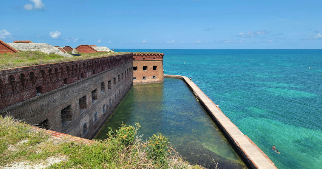 Shedd Aquarium and Coral Restoration Foundation™ Rebuild Reefs in