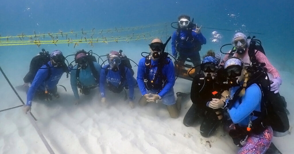 A group of CRF divers kneel on the sandy seafloor in St. Croix beneath horizontal nursery lines holding young corals. They pose together in scuba gear during a restoration dive.